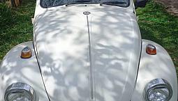 Volkswagen Fusca Fusca (Gasolina) 1973