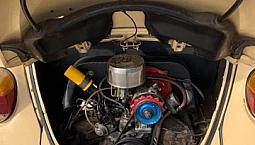 Fusca 79