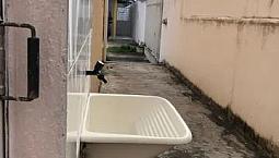 Apartamento Para Alugar Com 2 Quartos 