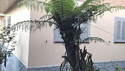 Sobrado 3 Dorm, Desocupado