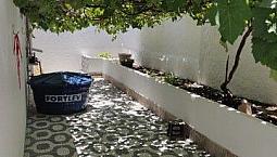 # Casa Com Parreira Uvas Thompson No Quintal 