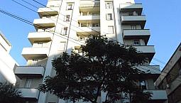 Porto Alegre - Apartamento Padrão - Floresta