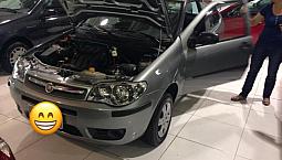 Palio Fire Economy