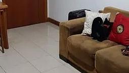 Apartamento Para Venda - 62M², 2 Dormitórios, 1 Vaga - Cristo Redentor