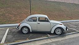 Volkswagen Fusca Fusca (Gasolina) 1994