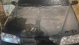 Fiat Palio Elx 1.0 Mpi Fire 16v 4p (25 Anos) 2001