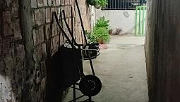 Vendo 