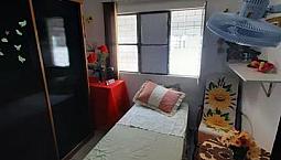 Alugo Quarto Para Mulher