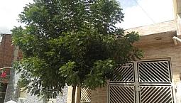 Casa 5X20 Toritama - Pe (2)