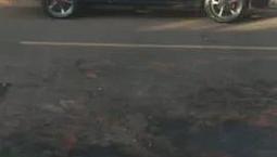 Escort Gl 