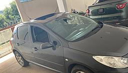 Peugeot 307 Feline