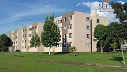 Apartamento Para Alugar Com 2 Dormitórios Em Parque Verde, Cascavel Cod:ap0562