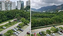 Apto 2 Qtos Barra Olípica Com Vista Verde Permanente, Claro E Armários Planejados