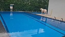 Casa Com Piscina - 4/4 ( 3 Suites) - Escritório. Cidade Jardim Ii