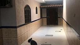 Alugo Casa No Bairro Campo Do Oeste, Com Boa Localização