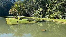 Grande Oportunidade Sítio Em Cocal Do Sul