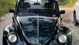 Volkswagen Fusca (Álcool) 1972