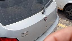 Fiat Palio Elx 1.0 Fire/30 Anos F. Flex 8V 4P 2010