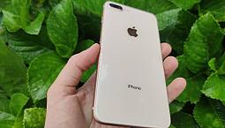 Iphone 8 Plus 256gb Gold Impecável!! 12x 287 No Cartão