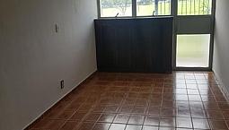 Apartamento Para Aluguel Possui 50 Metros Quadrados Com 2 Quartos Em Vila São João - Goiân