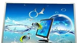 Diversos Tipos De Telas / Display De Todas As Marcas Semi-Novo