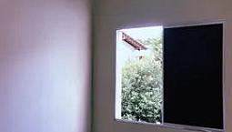 Procuro Mulher Para Dividir Apartamento, Condomínio Tunas Ferreira N 890
