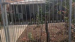Casa No Guajuviras 