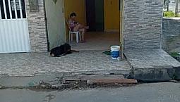 Casa ? Pra Alugar