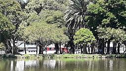 Apartamento Novo, Frente Redenção E Ufrgs