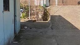 Caso Para Alugar 