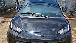 Byd Dolphin Mini (Elétrico) 2025